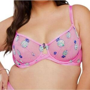 Pink Pineapple Embroidered Bra